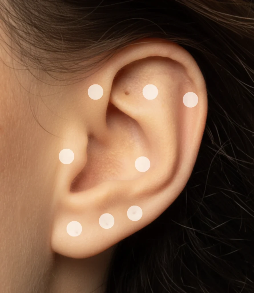 Schéma emplacement piercing helix, anti helix, tragus, conch, lobe, flat